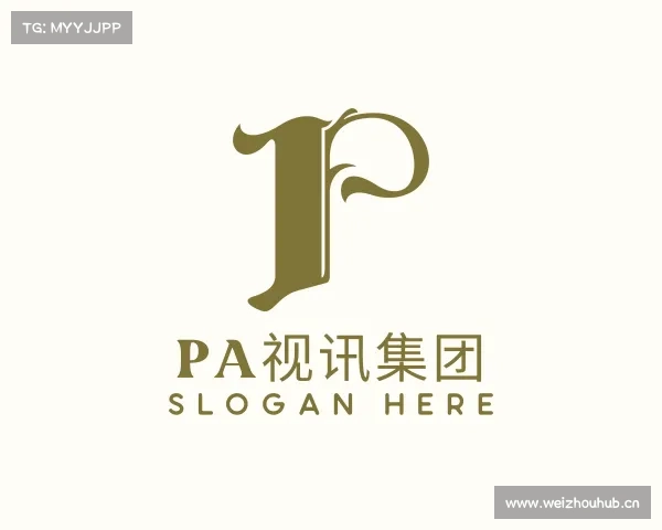 关于PA视讯集团